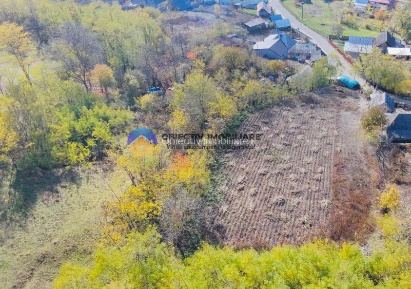 Teren de vânzare 11.766 mp – Costișa, județul Neamț - 7