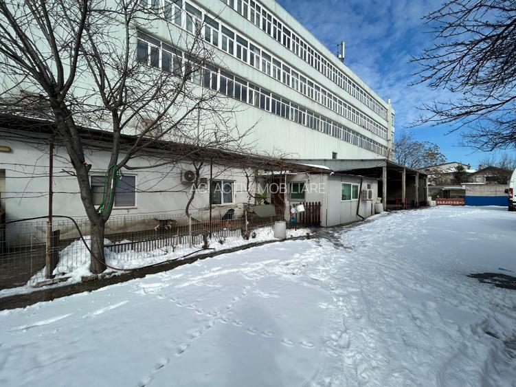 Lacul Tei,Petricani Stradal,Teren Comercial 591 mp si anexe,Toate Utilitatile - 3