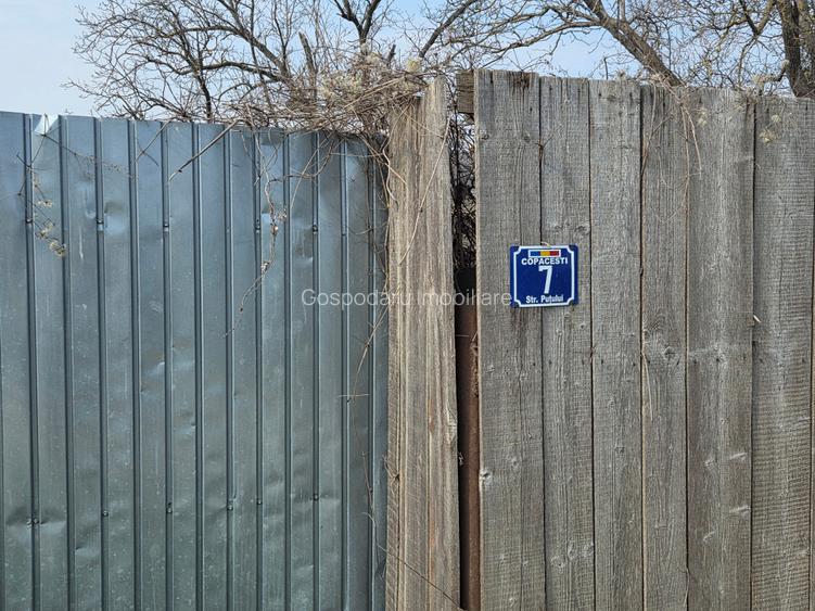 Teren intravilan sat Copacesti com Ruginesti - 3