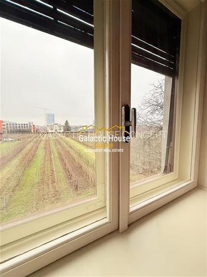 Arcul de Triumf-Domenii -- Apart. in Vila cu caracter, restaurat, elegant - 16