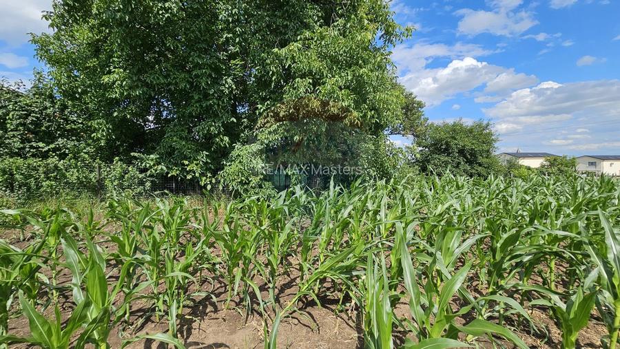 Casa / Vila, teren 1700mp,  in Lisaura-Ipotesti, Suceava - 41