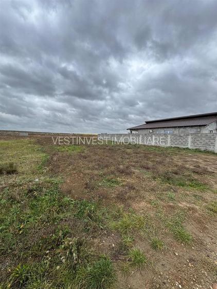 Teren intravilan Cihei 500 mp - 4