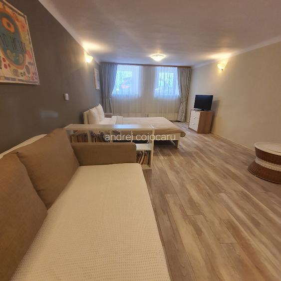 Studio centrul vechi Brasov - 7