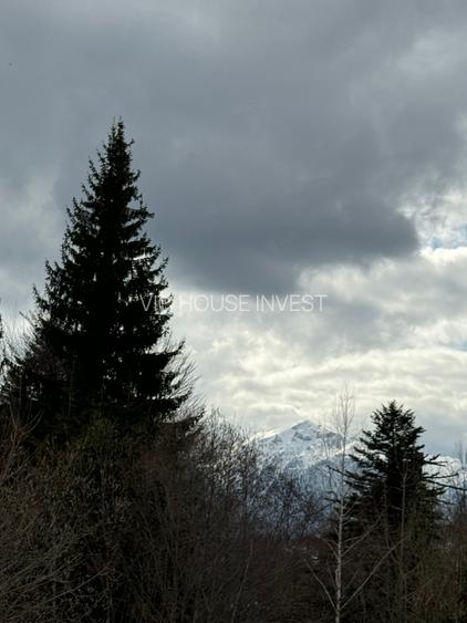 Casa de vacata Predeal Trei Brazi - 16