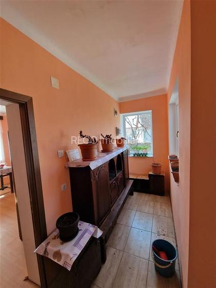 Teren mare cu 2 case in Sabolciu, com. Sacadat - 3