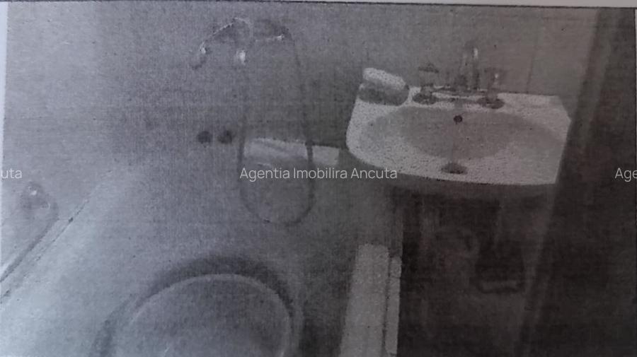 196316- Vanzare casa si teren, Loc.Ciucea, Cluj - 3