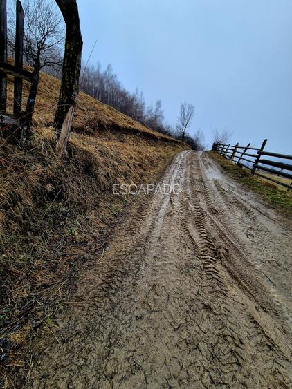 Teren intravilan Simon/Bran, 4318 mp , casuta intabulata, utilitati - 27