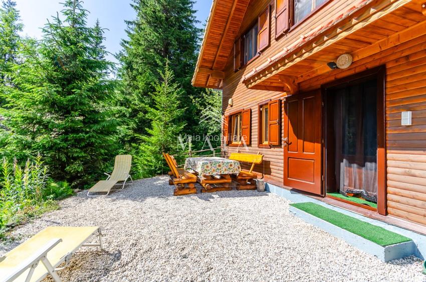 Casa 3 camere, 840 mp teren care include padure, Paltinis - 2