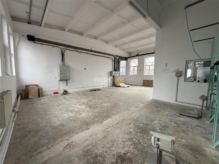 Hale industriale de inchiriat cu platforma betonata de 10.424mp - Șerbanest - 6