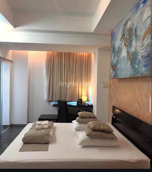 Proprietar vând Hotel Boutique  la Timișoara  - 4