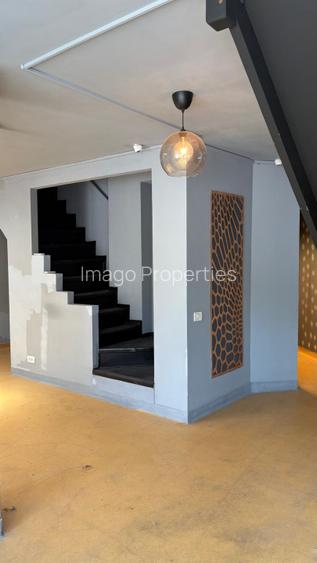 Spatiu comercial Bulebadrul Decebal - 9