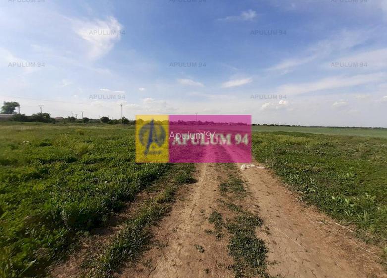 Teren construcție casă - 1 Decembrie - Zona Metropolitană București - 9