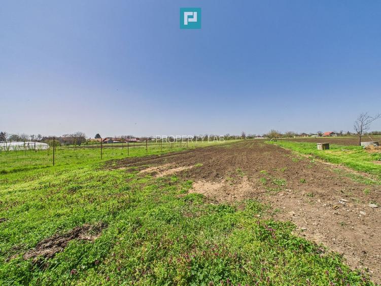 Casă cu grădină mare la 30 km de Timișoara - 25