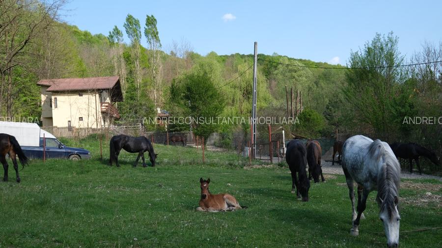 16000 Euro vanzare 521 mp teren asfalt apa gaz curent Cosminele Prahova superb - 16