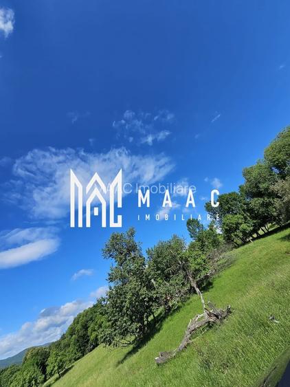 Teren de vanzare Cisnadioara - 3