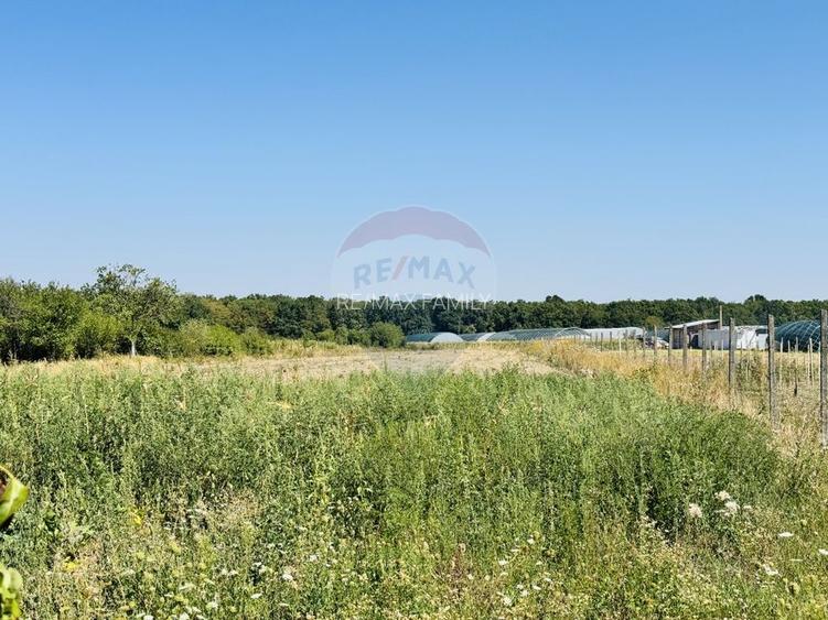 Teren 6,210mp Apateu / Strada Principala - 4