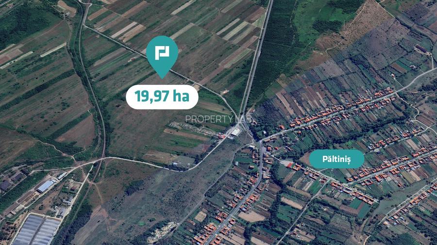 Teren extravilan agricol de 20 ha lângă Caransebes - 2