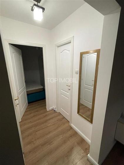 Inchiriere apartament 2 camere Cantemir - 4