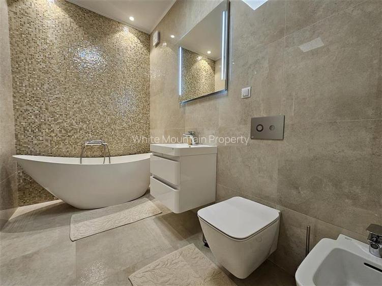 Garsoniera premium de inchiriat Drumul Poienii - 16