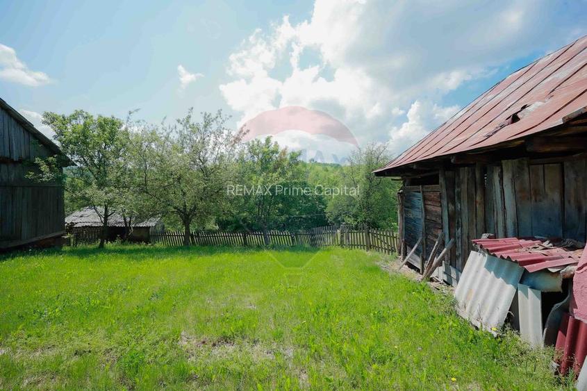 De vânzare casă cu teren și pădure 55706 mp - Șinteu, Valea Târnei - 17