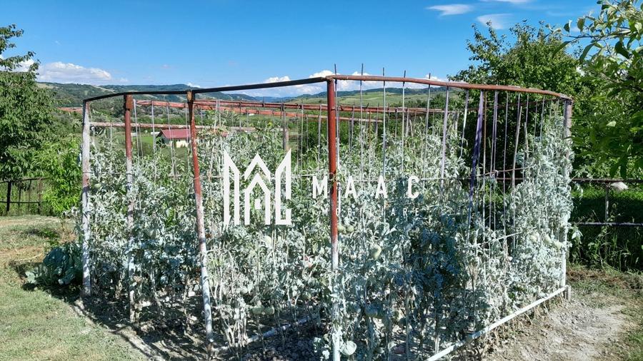 Casa individuala | 4 camere | Teren 2000 MP | Seica Mare - 4