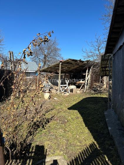 Casa batrineasca cu approx 2800 mp teren, vie, pomi fructiferi, zmeura, coacăze  - 10