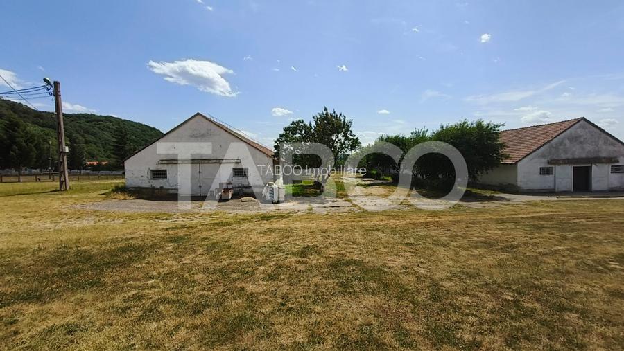 Platforma industriala cu cladiri de vanzare in Salistea de Alba - 20