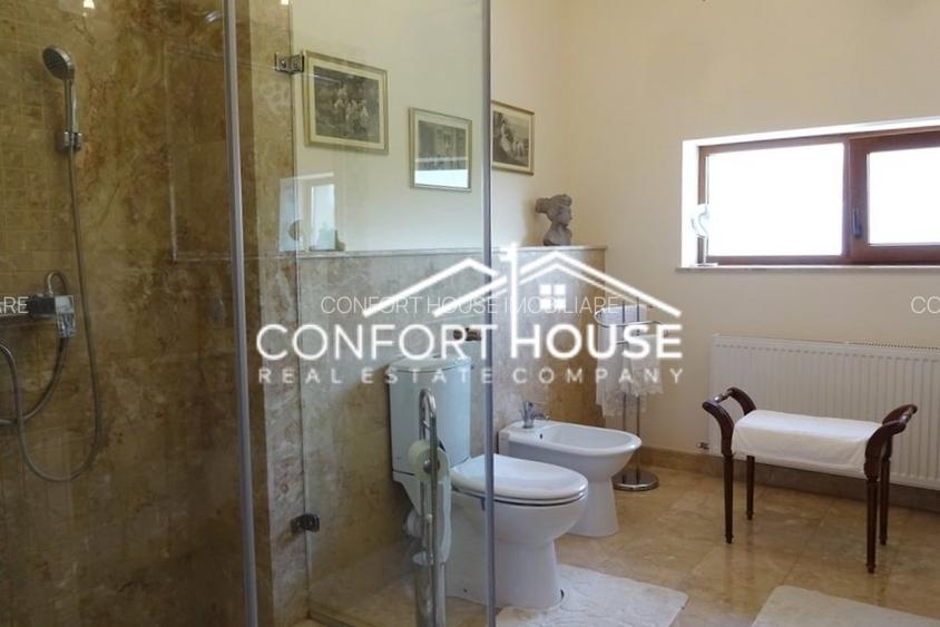 VILA SUPERBA IN IANCU NICOLAE - 20