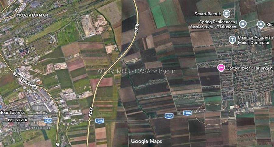 Teren 9000 mp Sacele Izvor, front 356 m la DJ 103A - 12