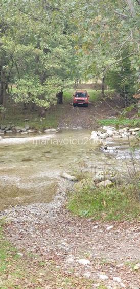 Poiana Prințului Rudolph : Teren de 2834  mp Munții  Retezat - 15