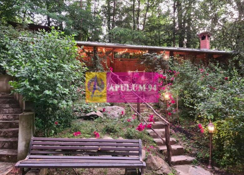 Casă de vânzare în Provița de Jos - 22