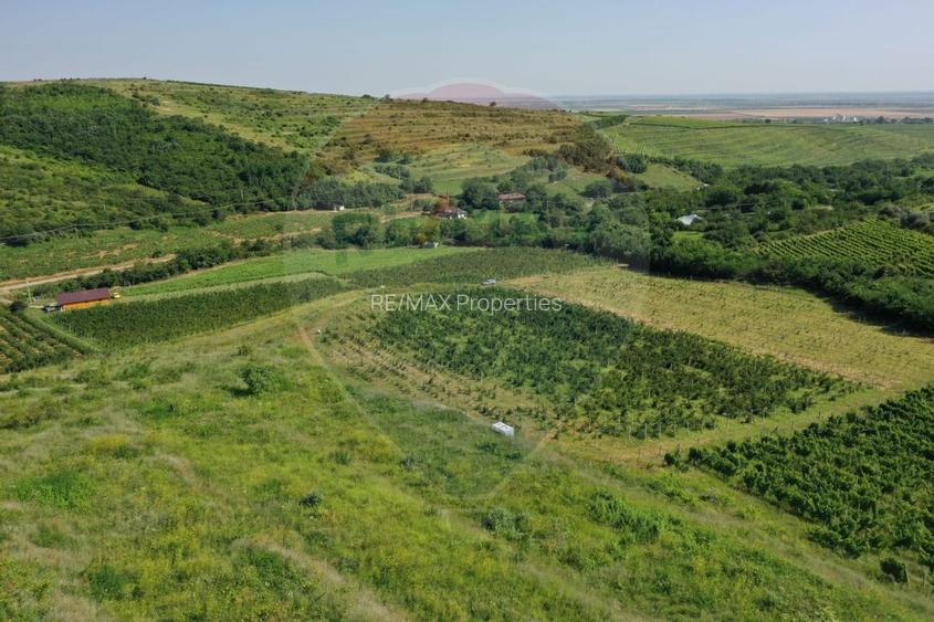 Oportunitate de investitie - Teren de vanzare I 4 ha I certificat ECO - 4