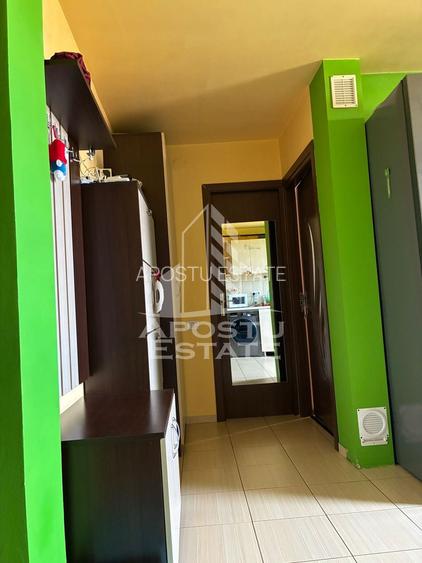 Apartament cu 2 camere, 42 mp, la cheie, zona Sagului in Timisoara - 10