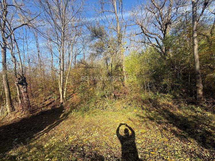 Teren langa pădure 6400mp+casa demolabila-deschidere 35 ml - 13