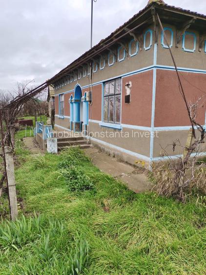 Seimenii Mici  Casa  Individuala 3 Camere Chirpici  S.teren  2100 Mp/42 Acte OK - 3