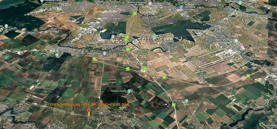 TEREN  | 14000 mp | Dascalu | INTRAVILAN | COMISION 0% - 6