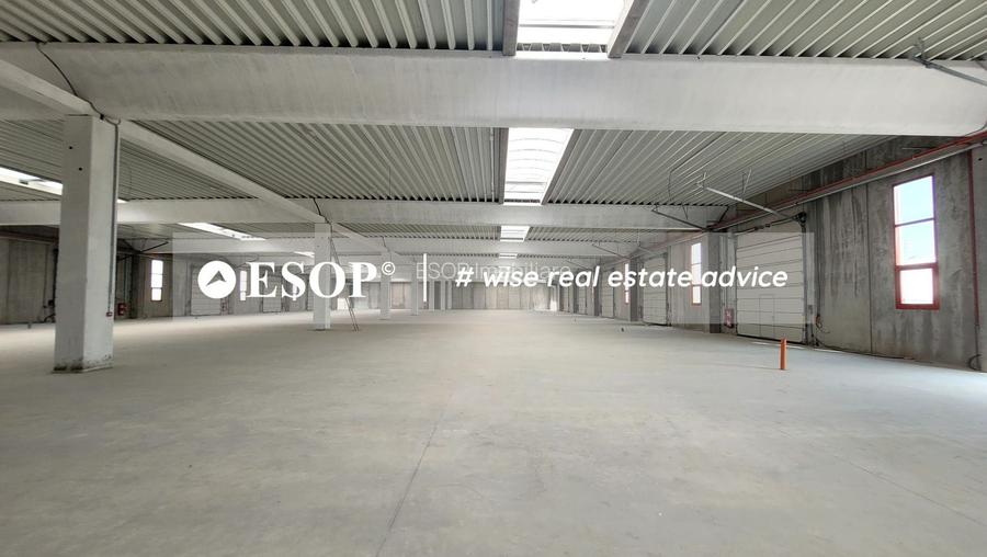 Hale industriale, parc modern, Rudeni, Chitila, Ilfov- ID 15462 - 24
