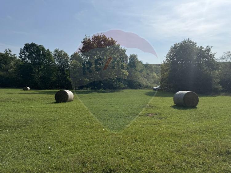 Teren 10.000 mp Calatele – Apuseni, langa rau, ideal investitie turism