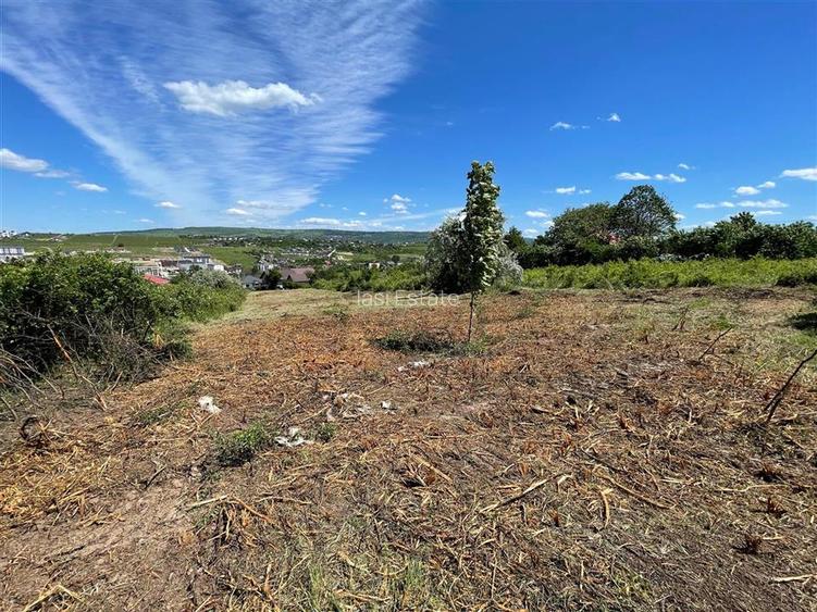 Ocazie! Visan TEREN 1616mp intravilan lot pt constructie casa - 3