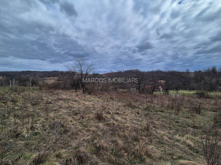 Vand 2 parcele de 5700 mp zona Iabalcea - 9