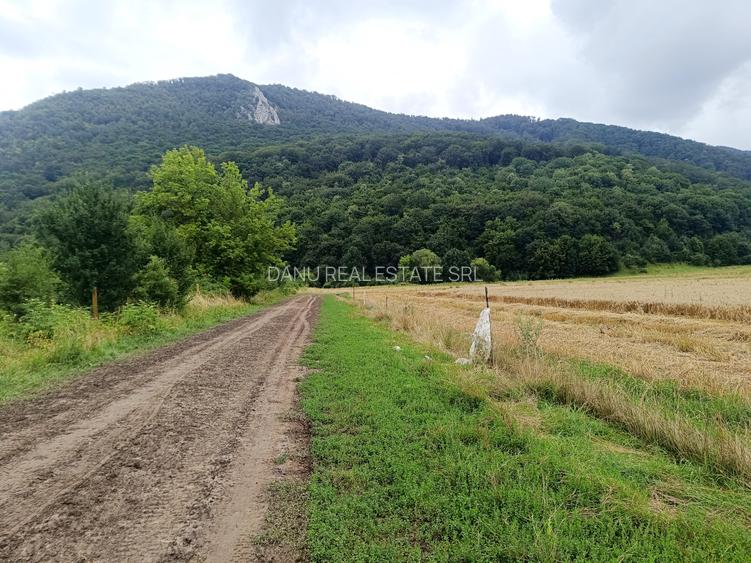Brașov Bartolomeu,str Cucului , Intravilan 16.500 mp, dezvoltare rezidentiala - 2