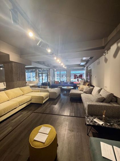 Spatiu Comercial | Floreasca | 175 mp | Vitrina 11 mp - 6