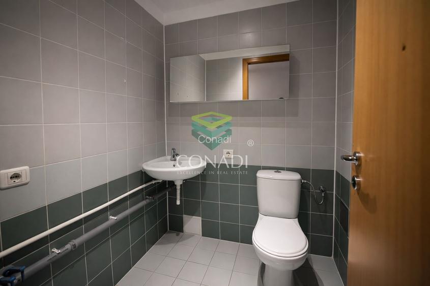 Apartament cu 4 camere de inchiriat Zona Soseaua Nordului - 22