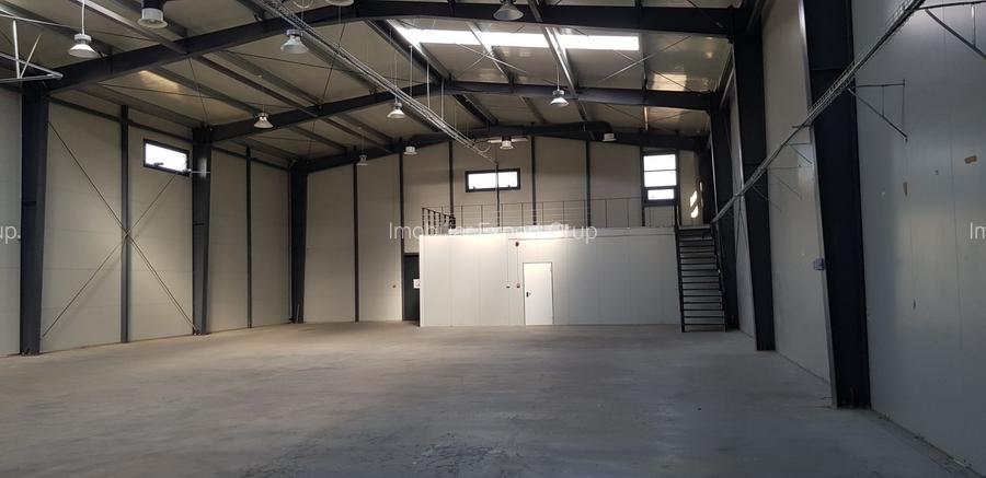 Spatiu de depozitare si productie Mogosoaia - 9