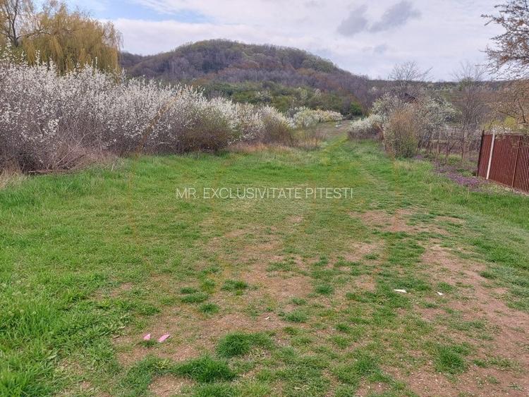 Teren Topoloveni - 3670 mp - langa padure, aproape de Centrul orasului - 2