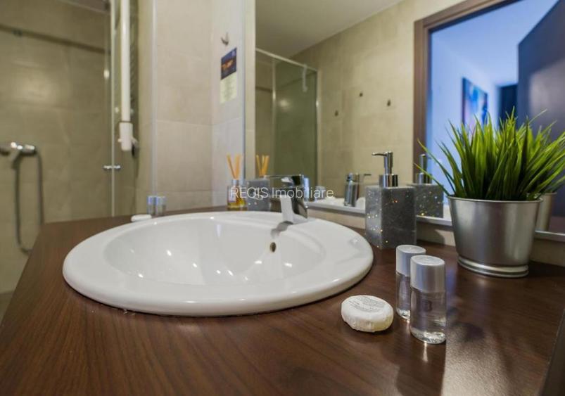 Apartament 2 camere luminos Silver Mountain Poiana Brasov - 18