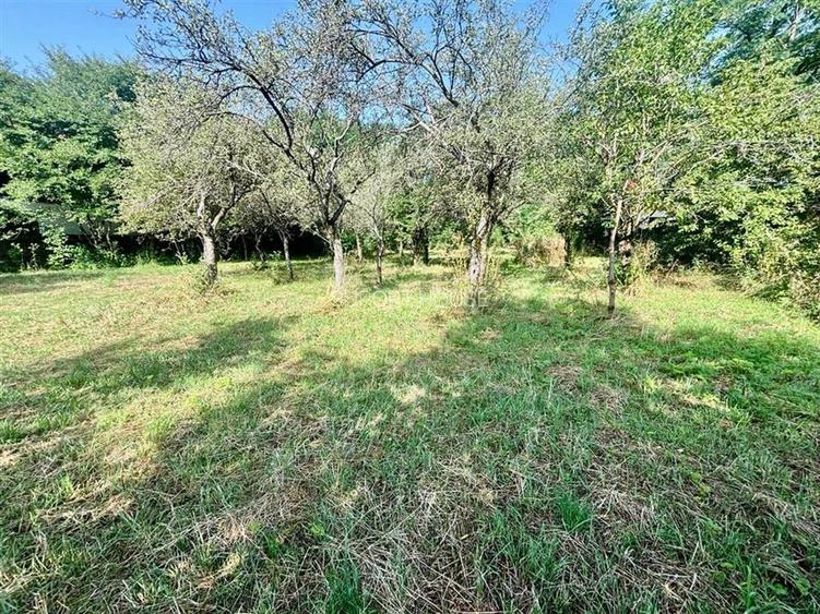 Vanzare casa Prahova, comuna Izvoarele - 21