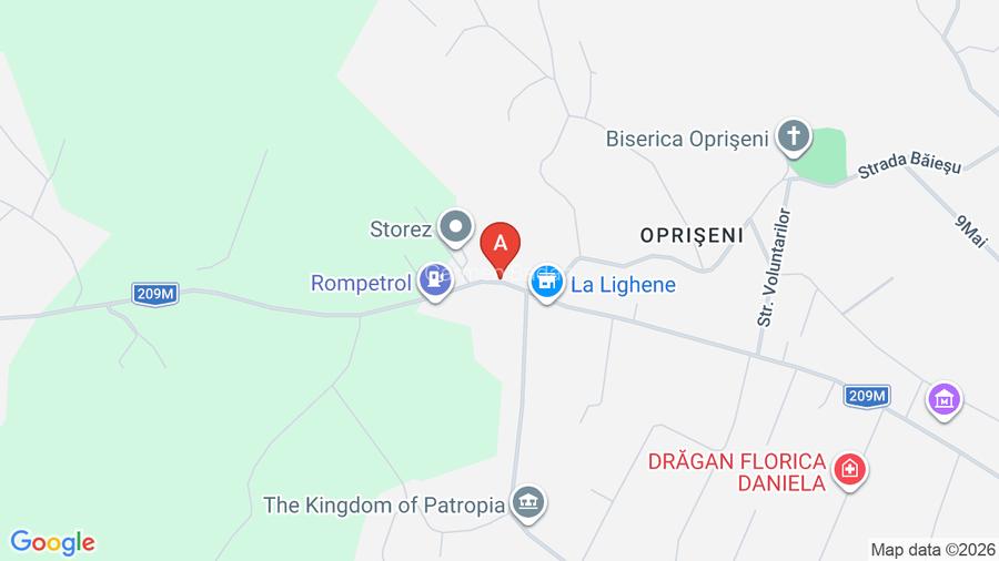 Casa batrineasca cu approx 2800 mp teren, vie, pomi fructiferi, zmeura, coacăze  - 17