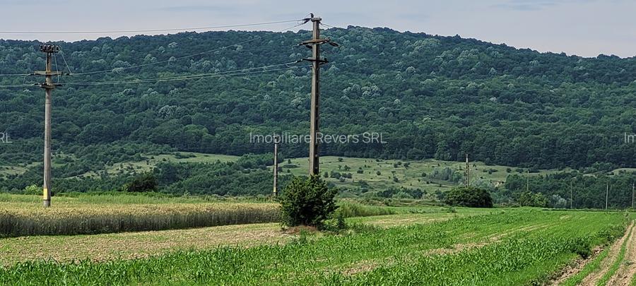 TEREN AGRICOL BABENI LANGA ABATOR LA PROVINCIA - pretabil ferma cu panour solare - 7