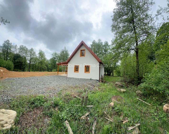 CHIUZBAIA 2CABANE cu teren de aprox. 70ari ! - 7